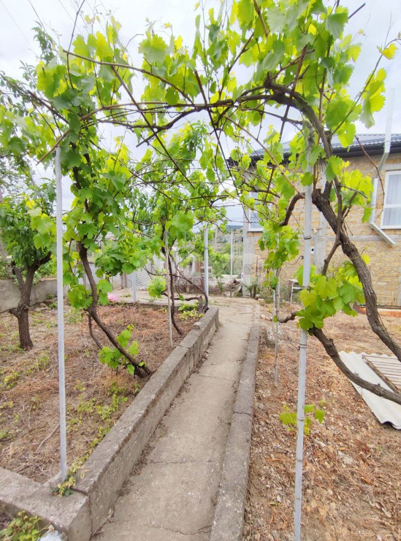 Фото №18: Дом 23 м² + 5 сот. - Петропавловка, ул. Садовая