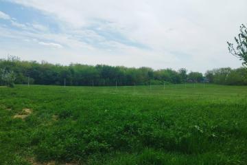 Фото №4: Дом 164 м² - Доброе, ул. Лесная, 11