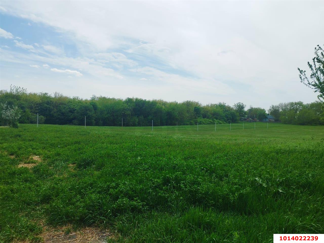 Фото №4: Дом 164 м² + 6.5 сот. - Доброе, ул. Лесная, 11