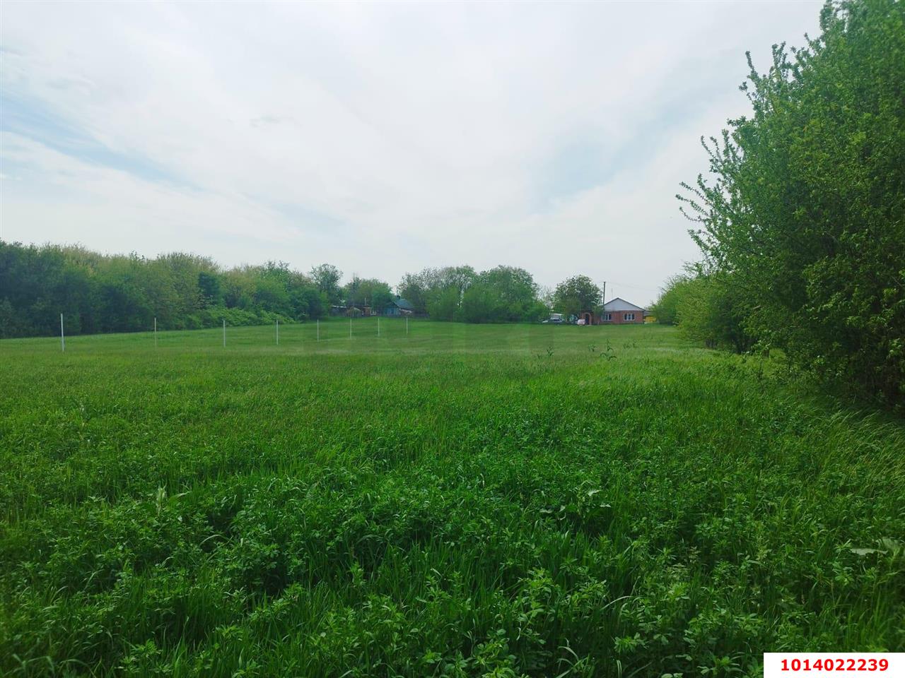 Фото №2: Дом 164 м² + 6.5 сот. - Доброе, ул. Лесная, 11