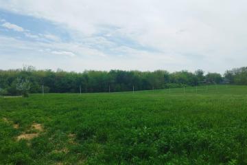 Фото №3: Дом 164 м² - Доброе, ул. Лесная, 11