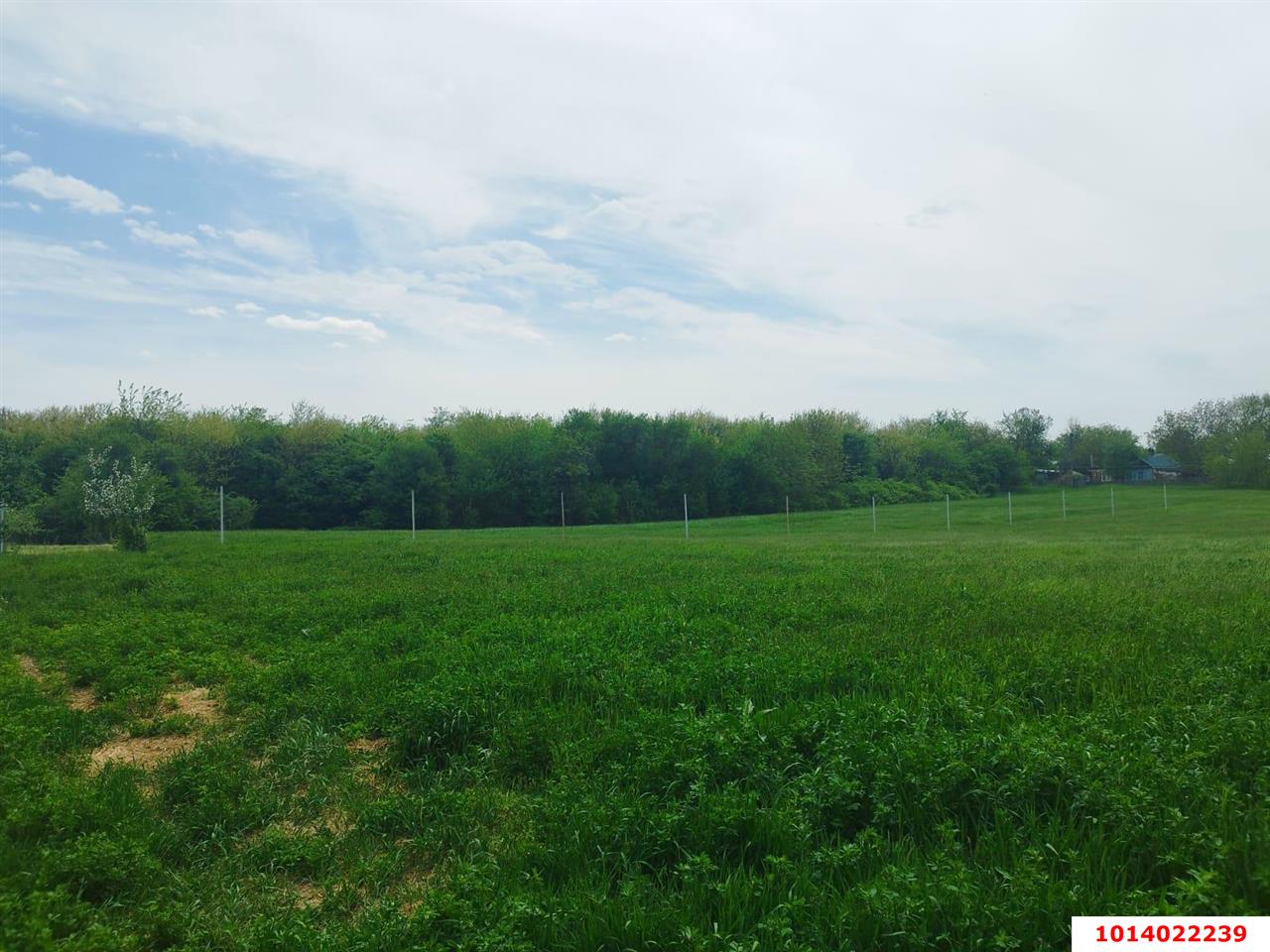 Фото №3: Дом 164 м² + 6.5 сот. - Доброе, ул. Лесная, 11