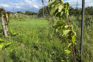 Фото №4: Земельный участок 4.02 сот. - Октябрьский, ст Краснодарский ЗИП-20, ул. Персиковая, 18/1