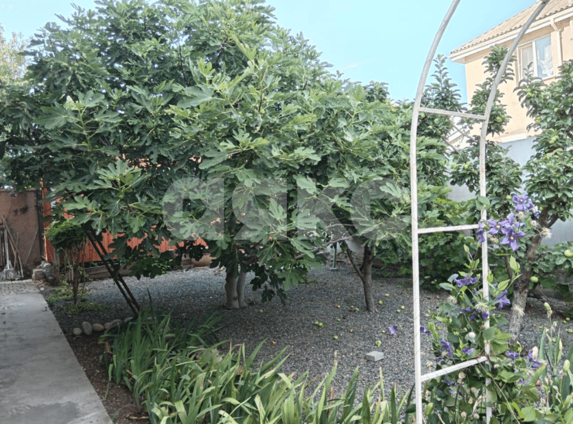 Фото №13: Дом 120 м² + 6 сот. - Мирное, 10