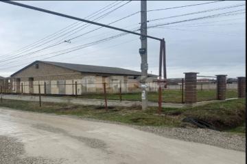 Фото №4: Дом 183 м² - Молочное, ул. Животноводов, 11